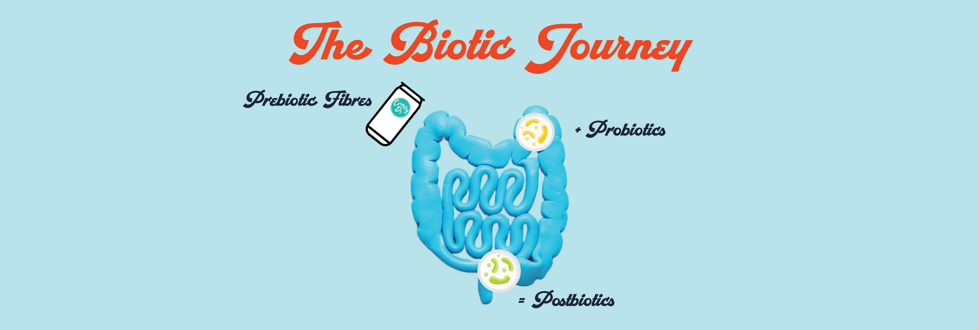 The Role of Prebiotics Throughout the Biotic Journey