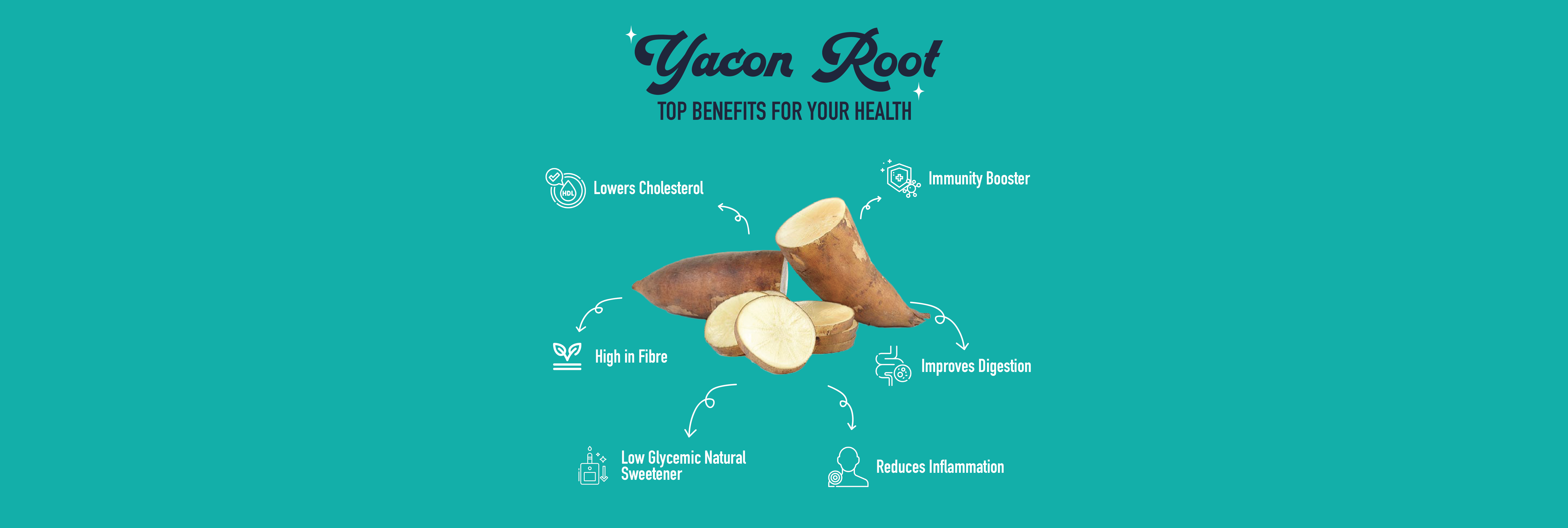 Why YACON ROOT is the latest trend in health foods - Crazy D's
