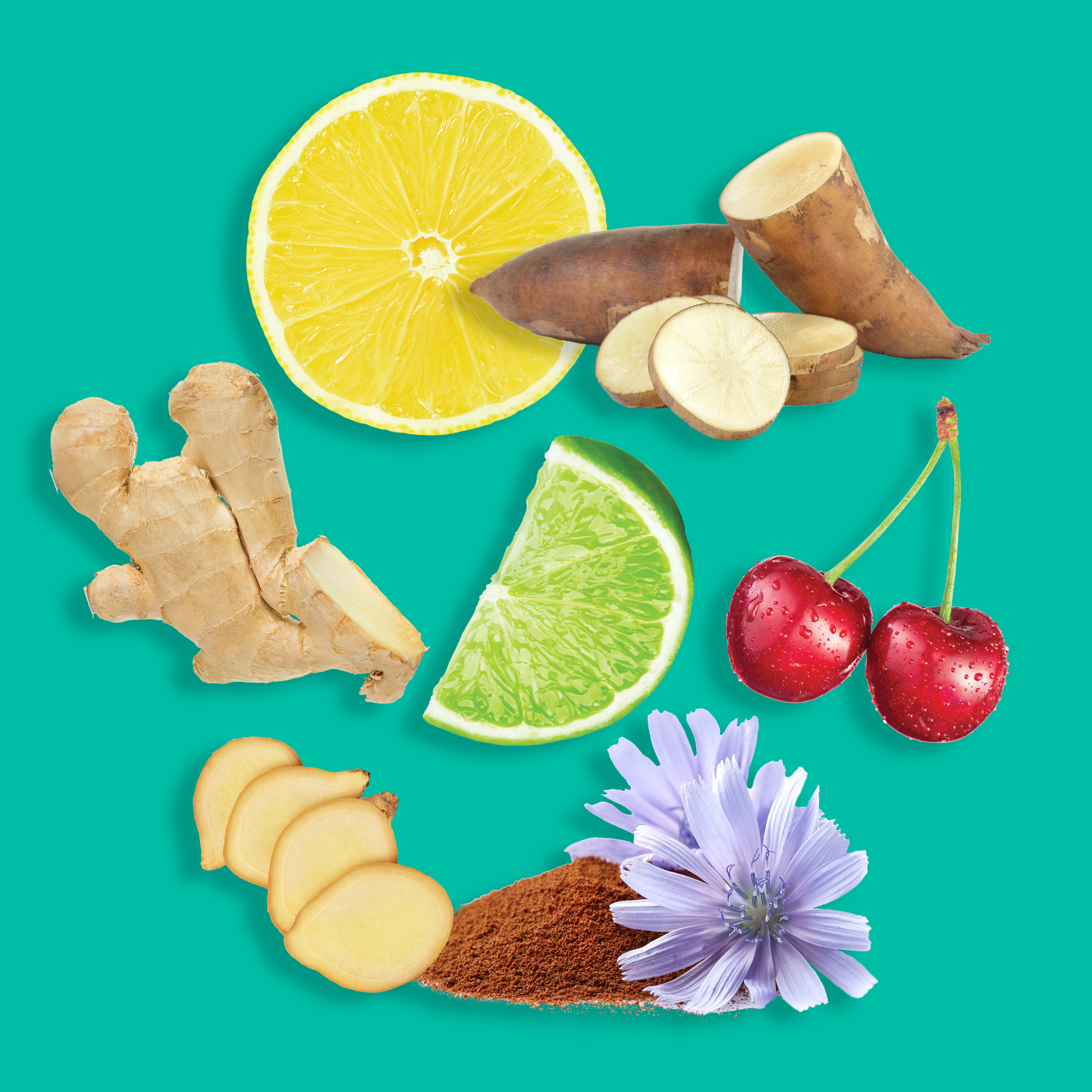 Image of Prebiotic soda Ingredients: cherry, lemon, ginger, yacon root